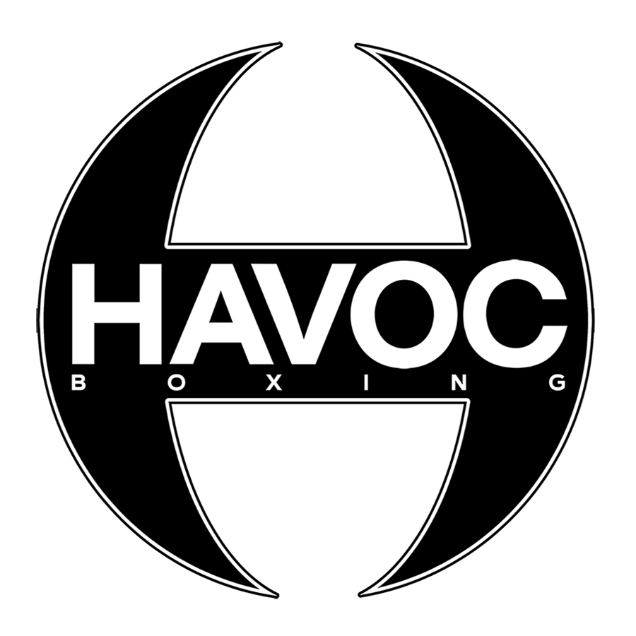 Official Havoc Logo T-Shirt