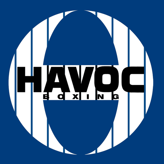 Official Havoc Logo T-Shirt (Yankees Stripes)